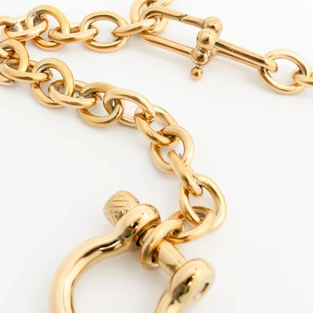Y Necklace with Horse Shoe Carabiner