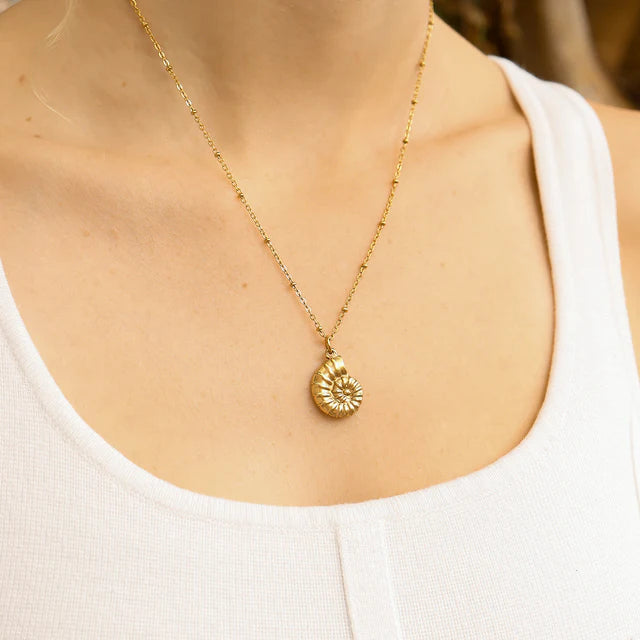 Nova Nautilus Charm Necklace